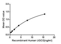 Human UGCG protein, His tag