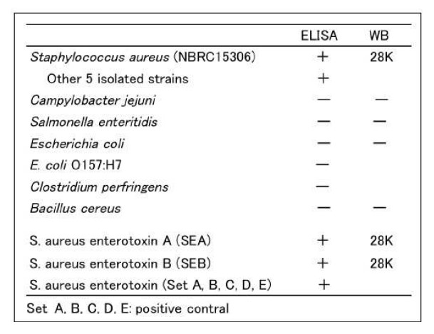 Staphylococcus aureus Enterotoxin A + Enterotoxin B antibody [sa-01]