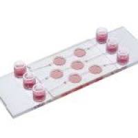 德国ibidi 三通道3D灌流载玻片-80371 80376