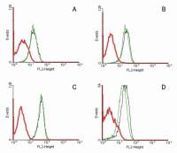 Fas antibody [LT95]