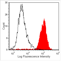 CD11b/c equivalent antibody [OX 42]