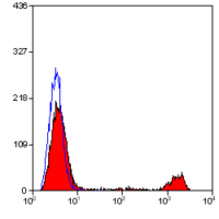 CD161 antibody [10-78] (PE)