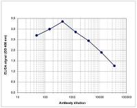 Histone H4K8ac (acetyl Lys8) antibody - ChIP grade