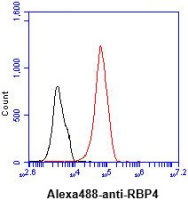 RBP4 antibody [AT2B4]