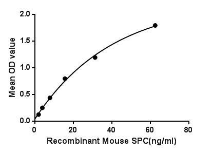 Mouse SFTPC protein, His tag