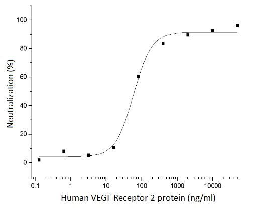 Human VEGF Receptor 2 protein, human IgG1 Fc tag (active)