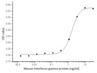 Mouse Interferon gamma protein, His tag (active)