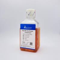 优级胎牛血清 Fetal Bovine Serum(Characterized)