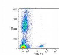 CD19 antibody [LT19] (PerCP)