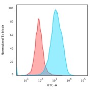 HSP60 antibody [LK1]