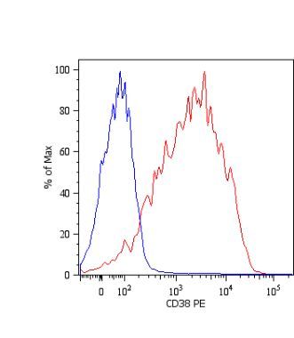 CD38 antibody [HIT2]