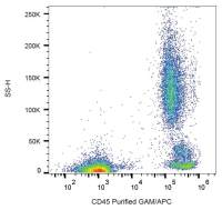 CD45 antibody [MEM-28]
