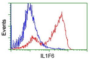 IL1F6 antibody [1A4]