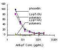 Phosphothreonine antibody
