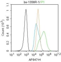 Integrin alpha V + beta 5 antibody