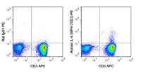 IL4 antibody [MP4-25D2] (PE)