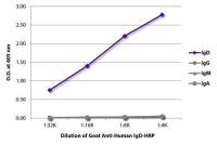 Goat Anti-Human IgD (Heavy chain) antibody, pre-adsorbed (HRP)