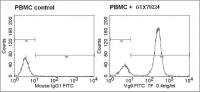 TCR V gamma 9 antibody [7A5] (FITC)