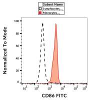 CD86 antibody [BU63] (FITC)