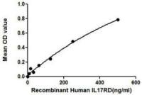 Human IL17 Receptor D protein, His tag