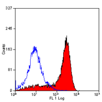 CD11b antibody [OX-42] (Biotin)