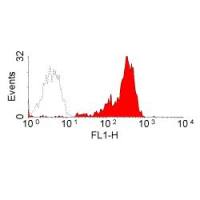 CD2 antibody [Mac288]