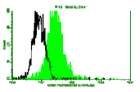 l-Myc antibody [CHALU2]