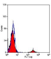 CD19 antibody [Bu12]