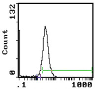 SIRP alpha antibody [MRC OX-41]