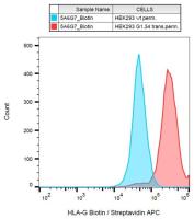 HLA-G antibody [5A6G7] (Biotin)