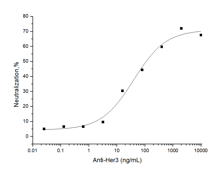 Her3 / ErbB3 antibody [mh908]
