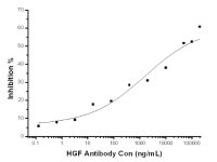 HGF antibody [mh010]