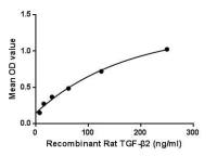 Rat TGF beta 2 protein, His tag