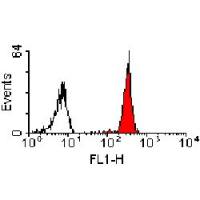 CD147 antibody [MEM-M6/1] (Azide free)