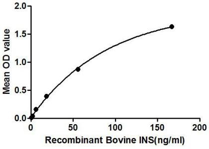 Bovine Insulin protein, His and GST tag