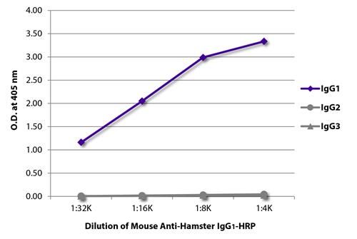 Mouse Anti-Armenian Hamster IgG1 antibody [SB139a] (HRP)