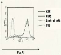 Fc epsilon R1 alpha antibody [CRA2]