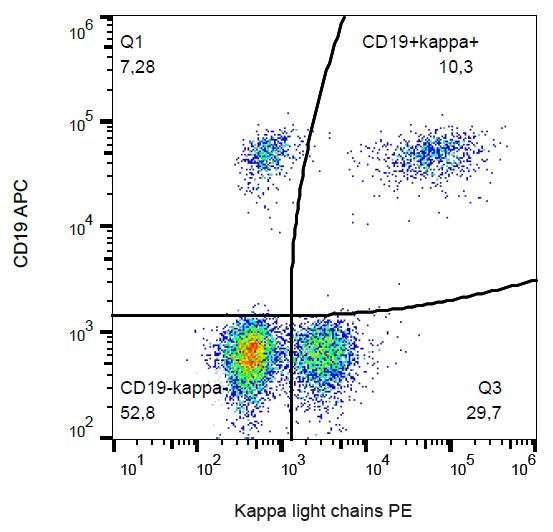 Mouse Anti-Human kappa light chain antibody [TB28-2] (PE)