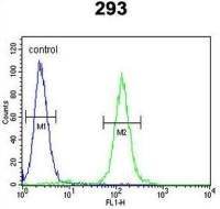 SUV4-20H2 antibody, Internal