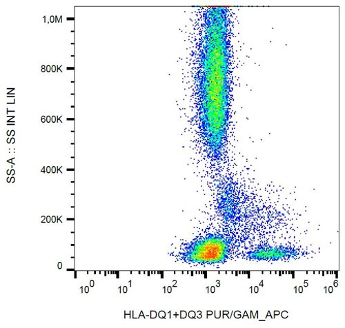 HLA-DQ1 + HLA-DQ3 antibody [HL-37]