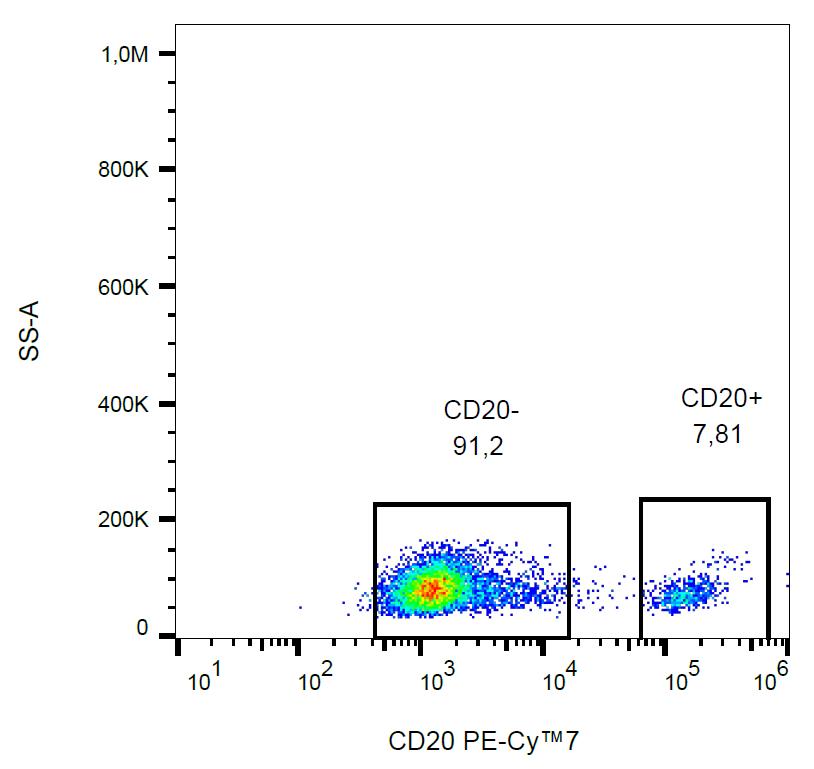 CD20 antibody [2H7] (PE-Cy7)