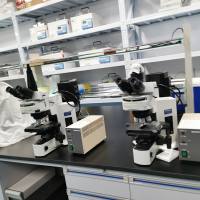 二手奥林巴斯显微镜BX51带保修可上门挑选大量现货