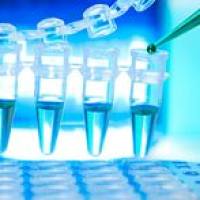 946123-12-2、香豆素343 X NHS酯