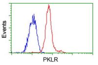 Pyruvate Kinase (liver/RBC) antibody [1C7]