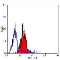 CD200R antibody [OX-110]