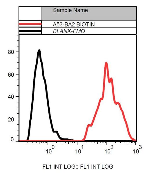 Cytokeratin 19 antibody [A53-B/A2] (Biotin)