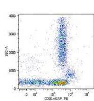 CD31 antibody [MEM-05] (APC)