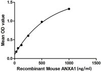 Mouse Annexin A1 protein, His tag