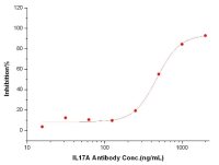 IL17A antibody [M237]