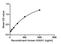 Human Annexin A1 protein, His tag